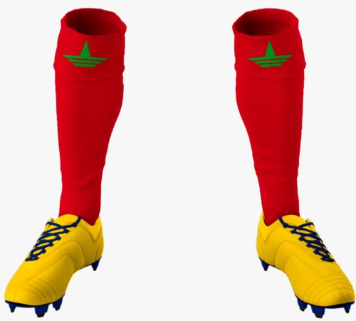 Dragon Red Socks